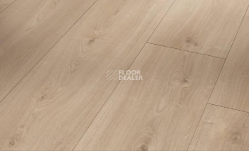 Ламинат Parador Basic Plus 600 XS 1593829 Дуб Авант Шлифованный фото 1 | FLOORDEALER